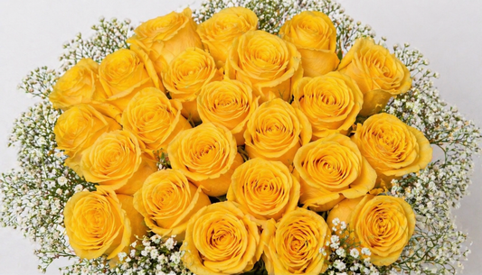 25 yellow count with baby breath