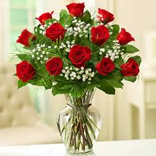 12 Red with baby breath